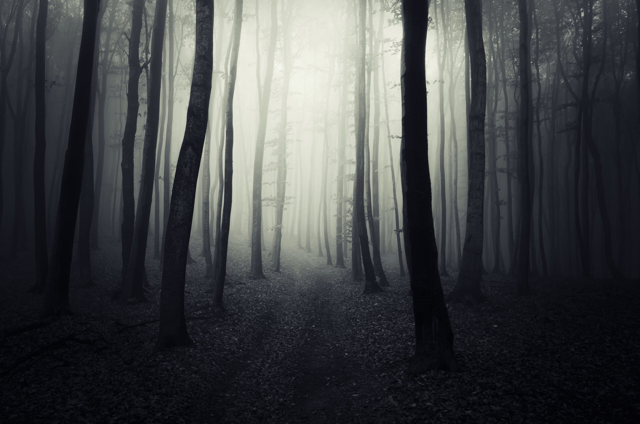 The Anxiety Trap
